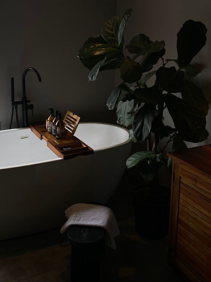 Contact Stylish bathroom featuring a bathtub with bath board and lush plant decor.